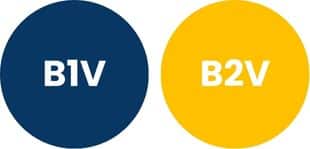 Difference between B1V and B2V